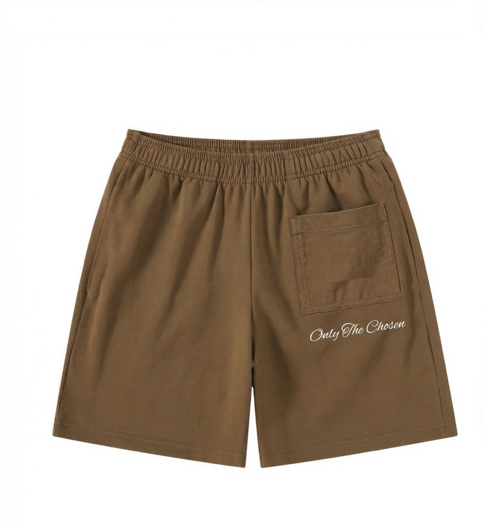 Brown Shorts — Aureus Drop 002